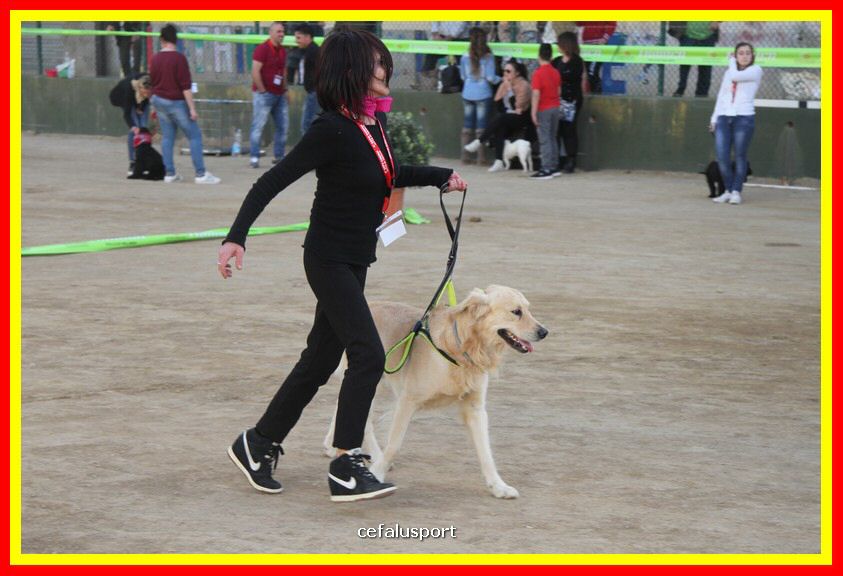 180311 mostra_canina 173.jpg
